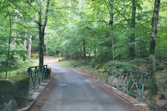 chauffeur professionnel transport toutes distances corse