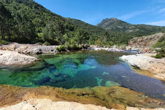 tourisme et visite en vtc taxi en corse